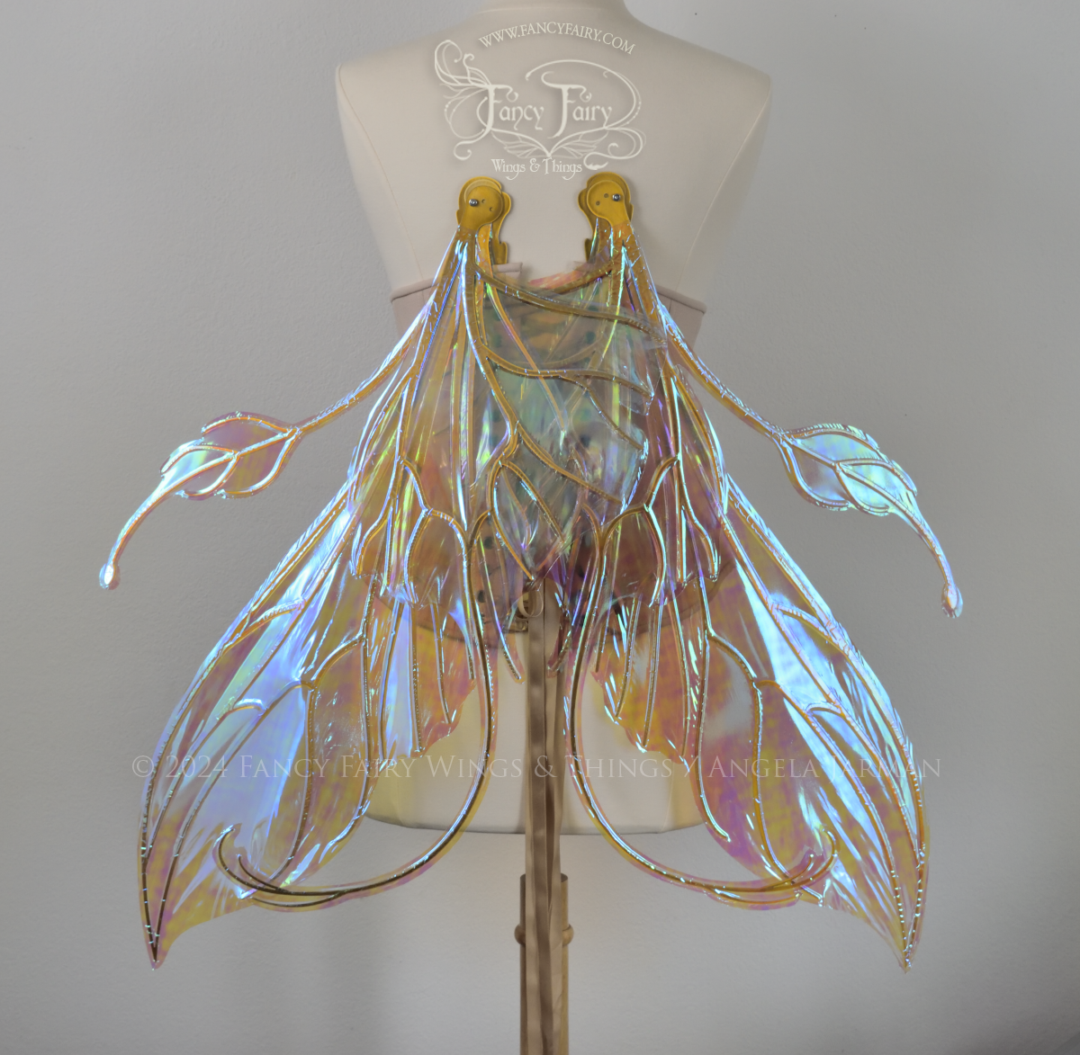 Back view of a dress form wearing an underbust corset & large blue / peach iridescent fairy wings with elongated upper panels & antennae with bottom panels that have a tail curving upwards, gold veins, in resting position