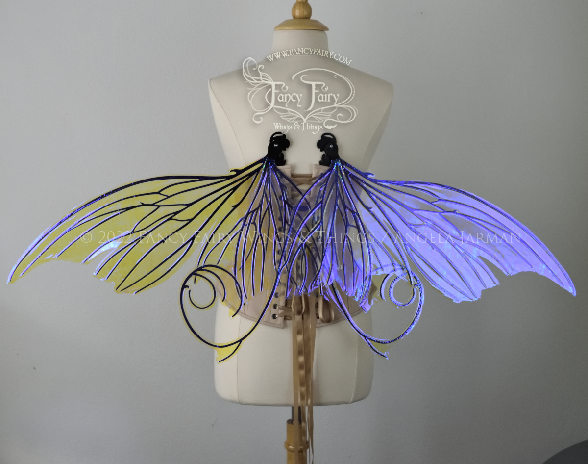 Aphrodite Convertible Iridescent Fairy Wings in Ultraviolet with Black Veins