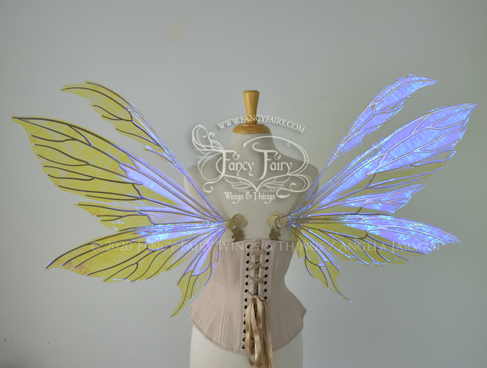 Aynia Convertible Iridescent Fairy Wings in Ultraviolet Iridescent with Candy Gold veins