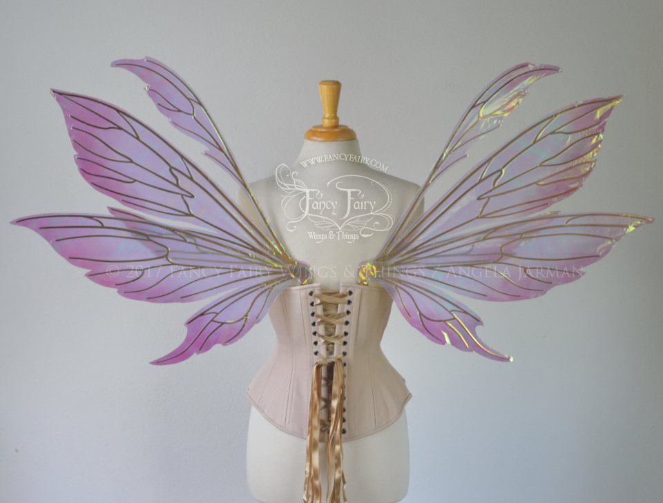 Aynia "Rose Blush" Painted Iridescent Fairy Wings with Gold Veins