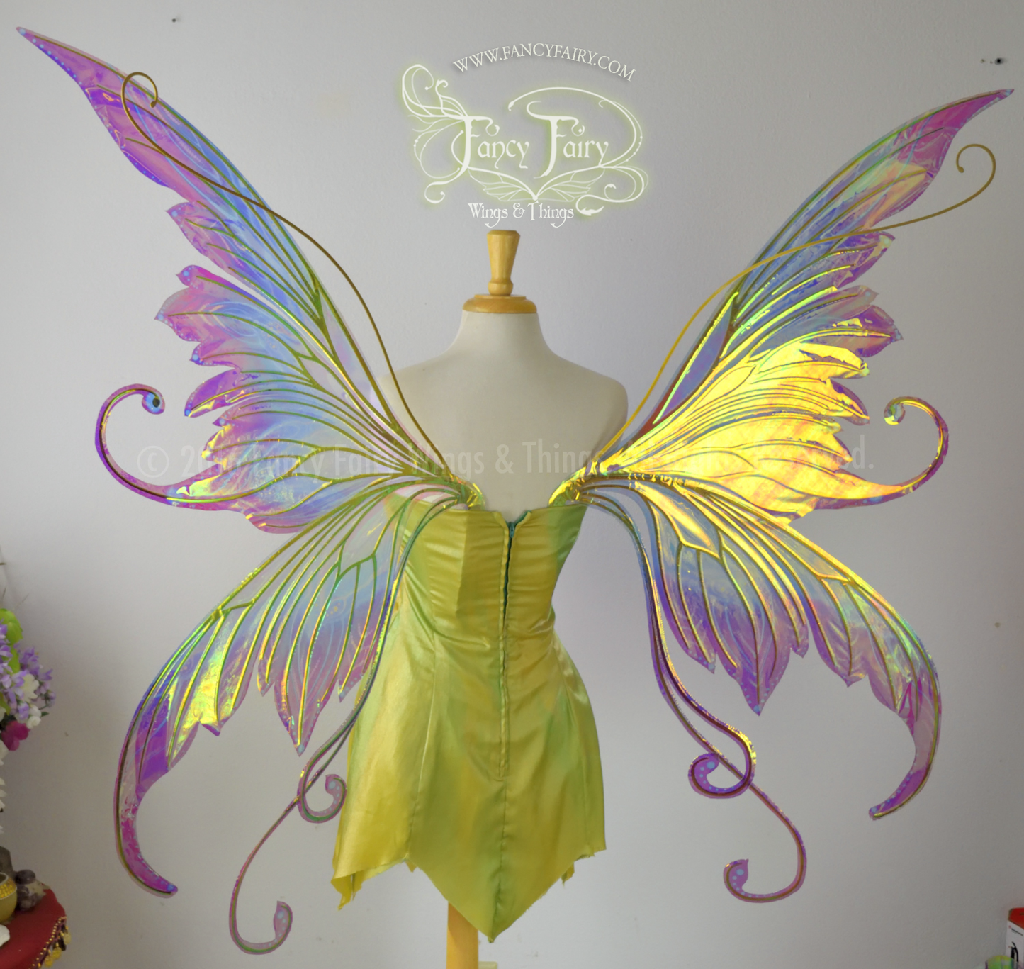 Giant Amy Brown Bubble Rider Iridescent Fairy Wings Painted in Acid Rainbow style with Gold veins