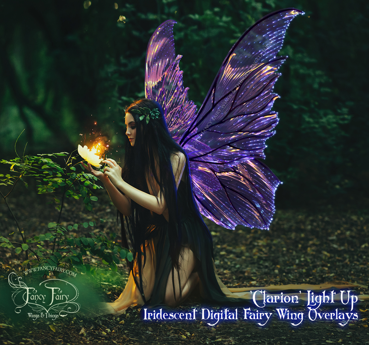 Clarion Light Up Fairy Wings Overlays PNG files for photo edit