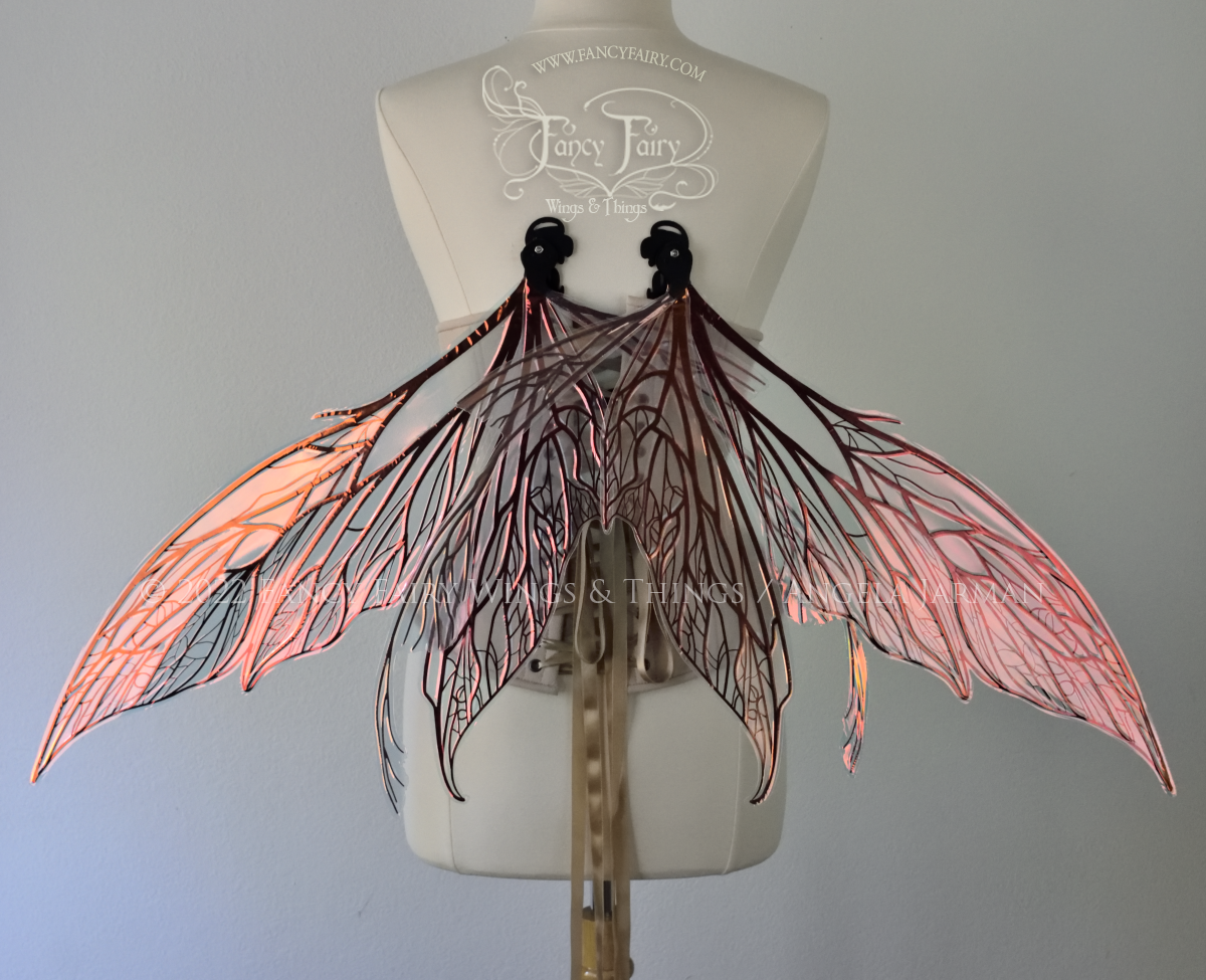 Colette Convertible Iridescent "Pix" Fairy Wings in Clear Blush with Black veins