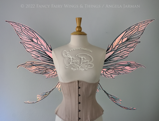 Colette Convertible Iridescent "Pix" Fairy Wings in Clear Blush with Black veins