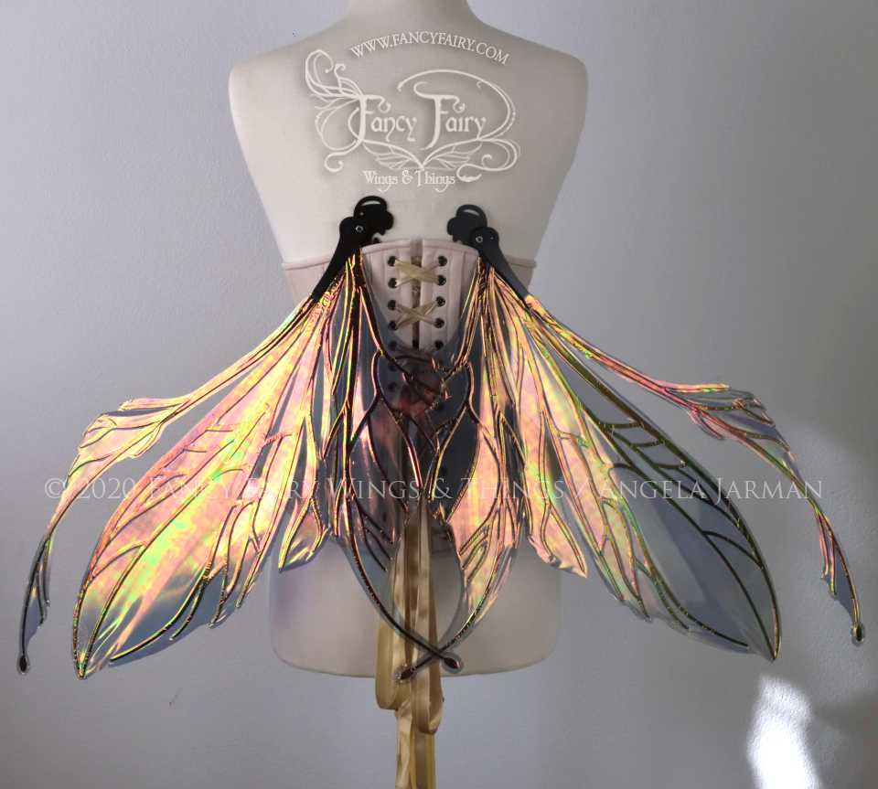 Made to Order Datura Iridescent Convertible Fairy Wings with black veins