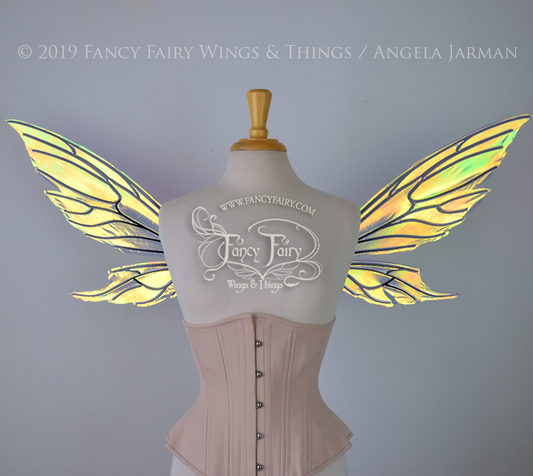 Econo Aynia Iridescent Convertible Fairy Wings in Clear Diamond Fire with Black veins