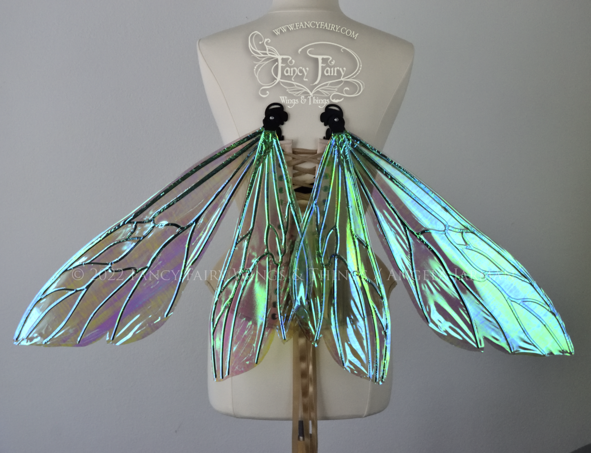Ellette Convertible Iridescent Fairy Wings in Absinthe with black veins