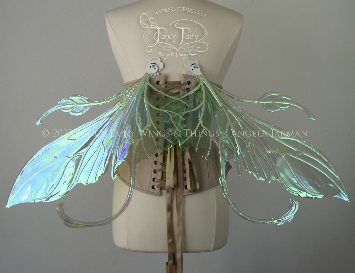 Elvina Iridescent Convertible Fairy Wings in Absinthe with White veins