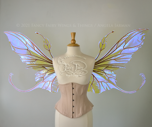 MTO Extra Large Elvina Iridescent Convertible Fairy Wings in Your Color with Copper or Black veins