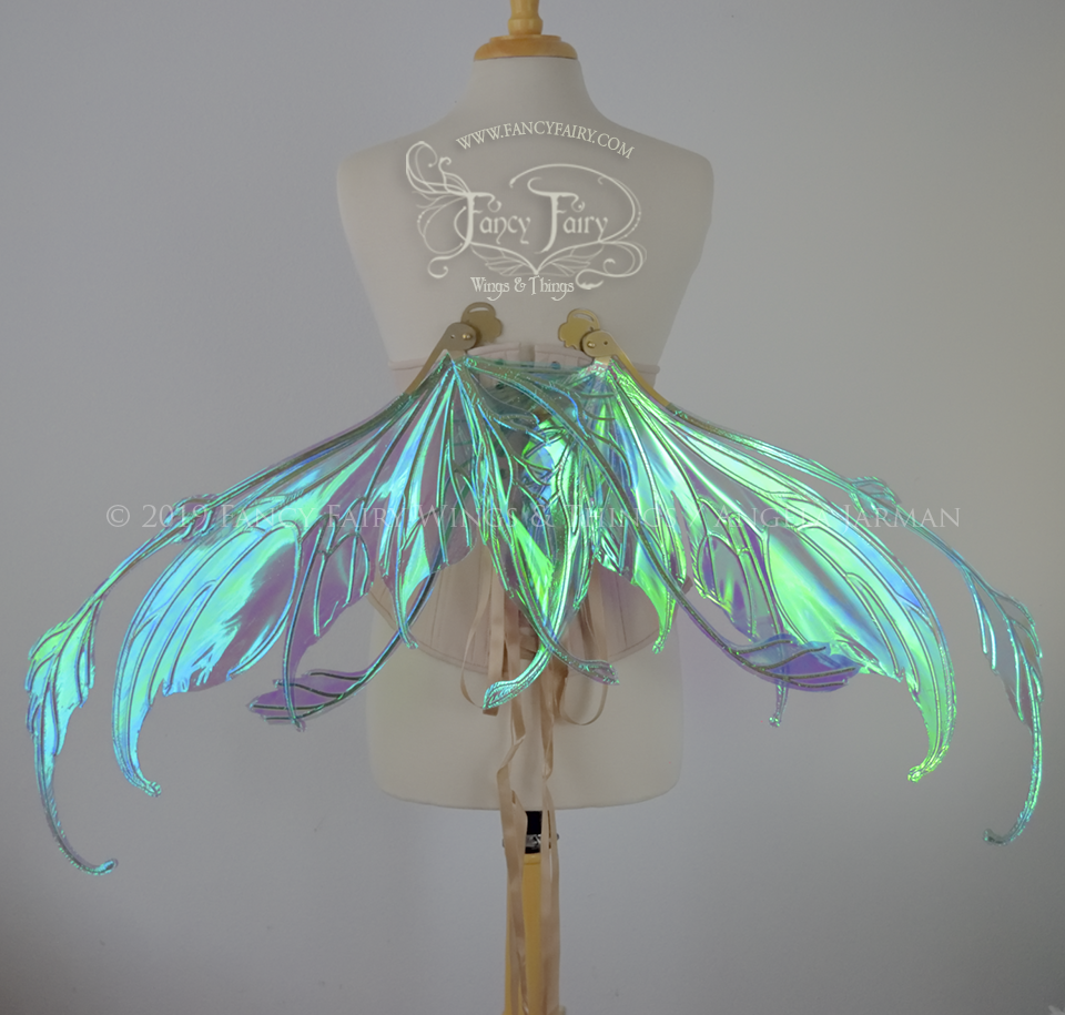 Fauna Iridescent Convertible Fairy Wings in Aquamarine with Candy Coat Gold veins