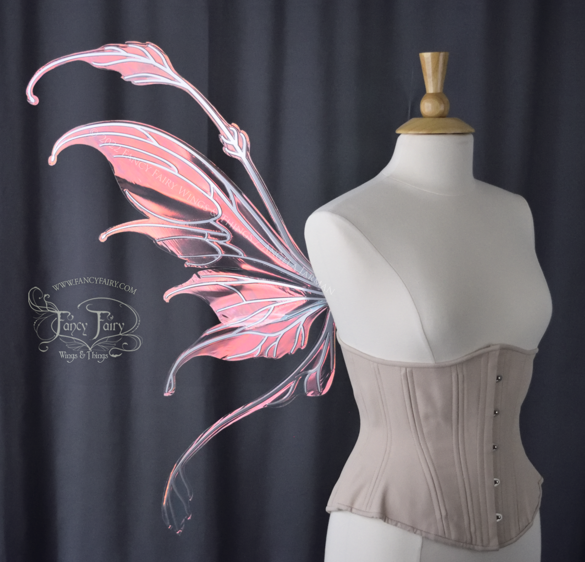 Left side view of a dress form wearing an underbust corset & 'Fauna' transparent pink iridescent fairy wings with downward curved tips, antennae & wispy 'tails', with silver veining, dark grey background