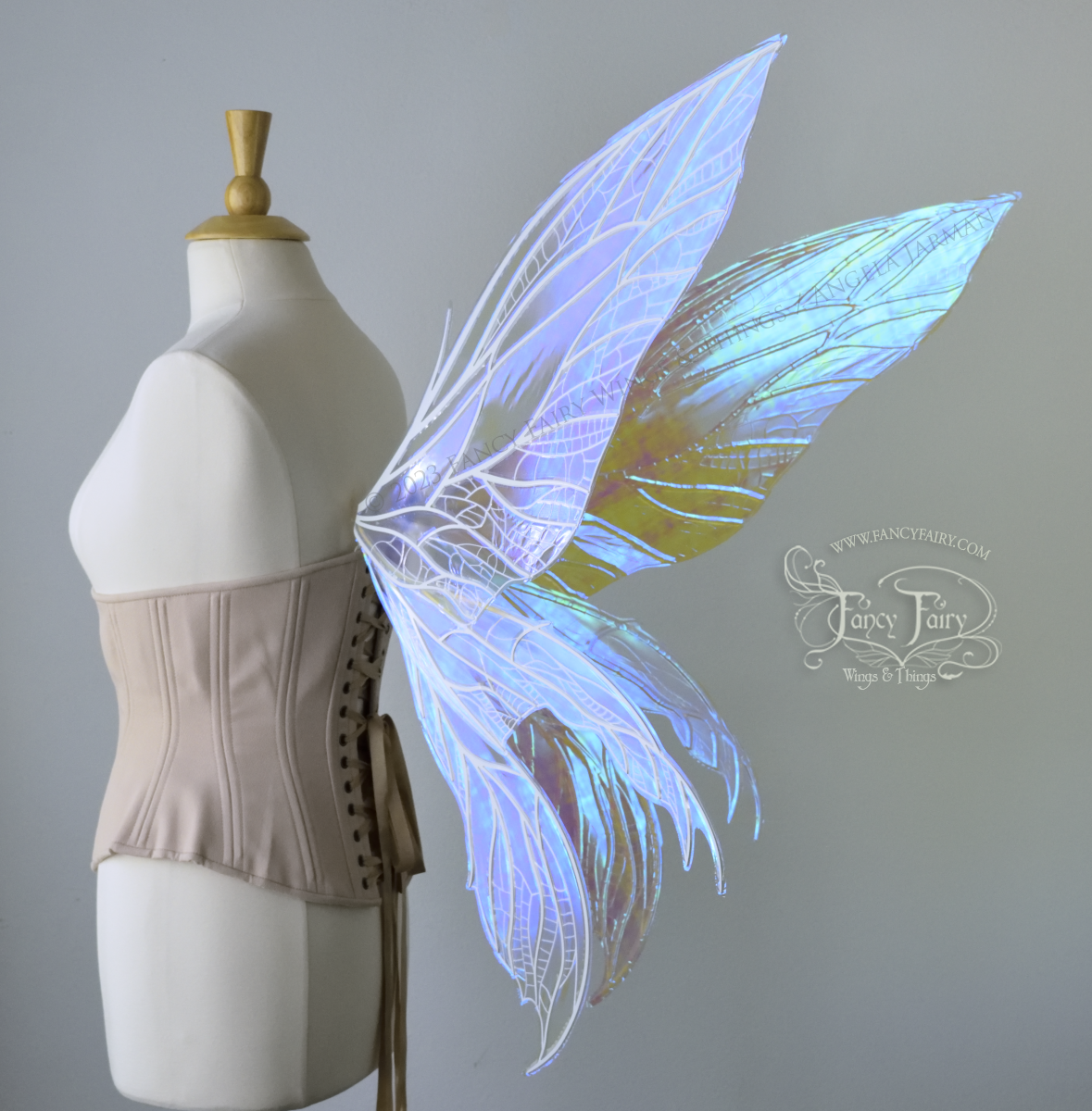Side back view of an ivory dress form wearing an underbust corset and large blue/teal/violet iridescent fairy wings. Upper panels are elongated with pointed tips, 2 lower panels curve downward, detailed white veins, standing against a white / grey background