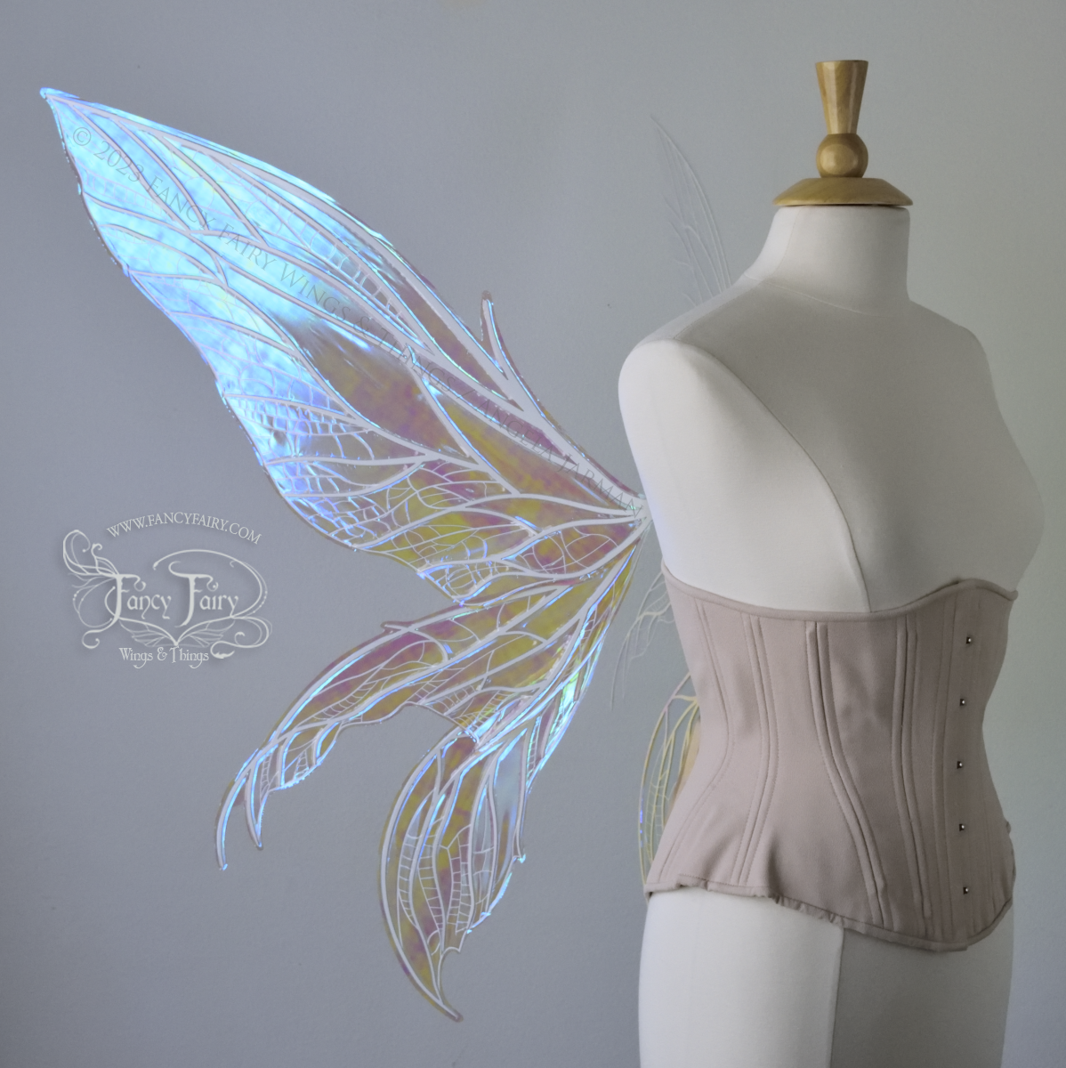 Side Left view of an ivory dress form wearing an underbust corset and large blue/teal/violet iridescent fairy wings. Upper panels are elongated with pointed tips, 2 lower panels curve downward, detailed white veins, standing against a white / grey background