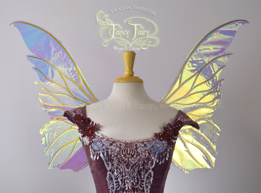 Clarion Iridescent Fairy Wings in Clear with Gold veins