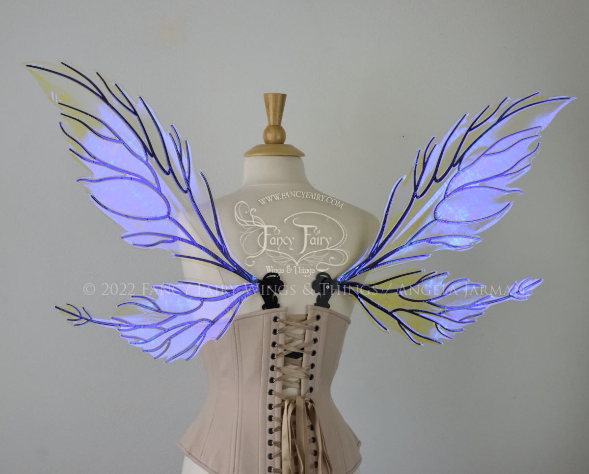 Ivy Iridescent Convertible Fairy Wings in Ultraviolet with Black veins