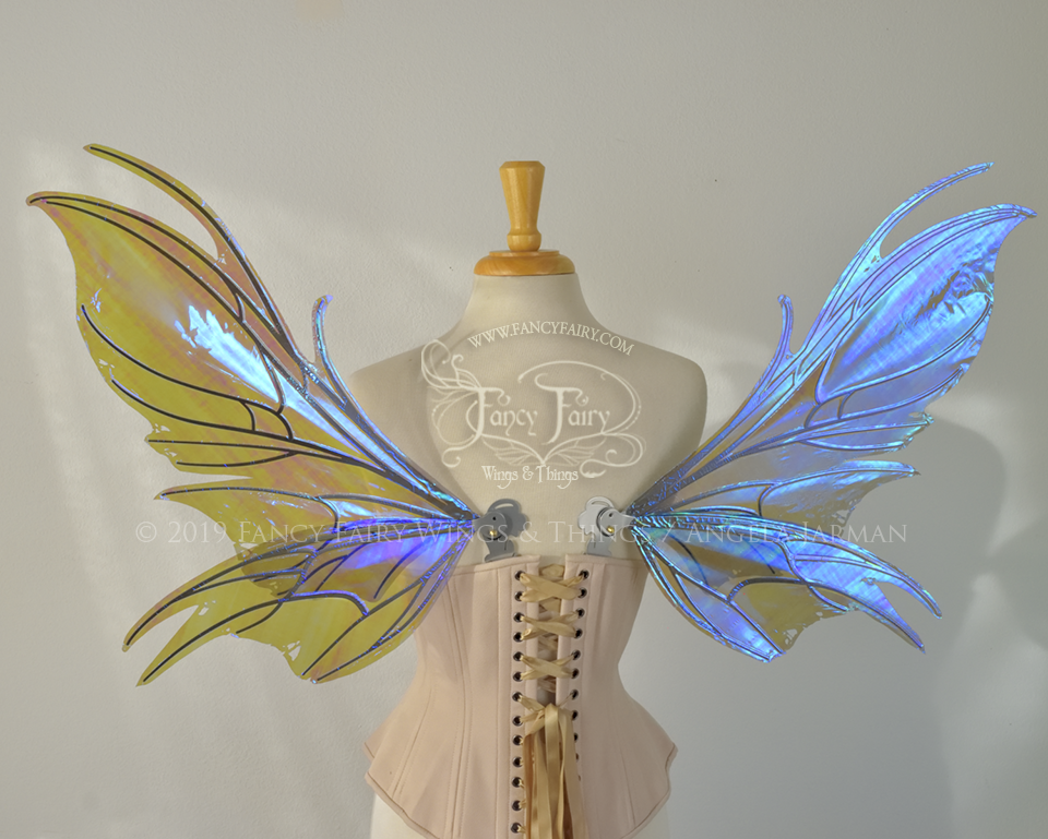 Back view of a dress form wearing an underbust corset & purple / blue iridescent fairy wings with a spikey shape, with silver veins