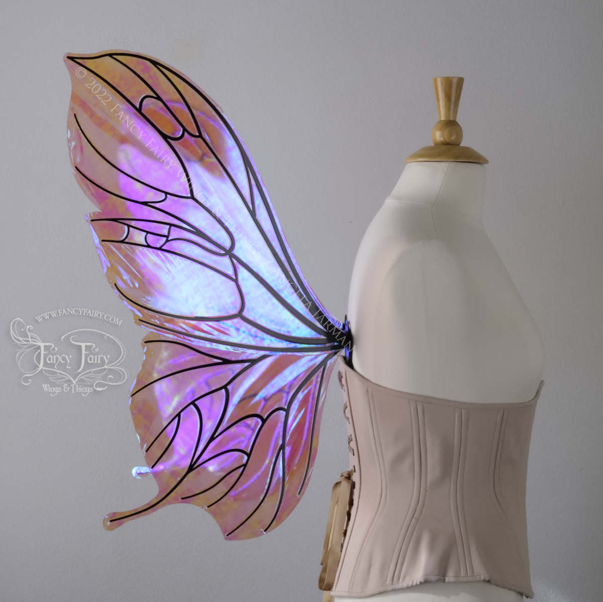 Pansy Iridescent Convertible Fairy Wings in Berry with Black veins