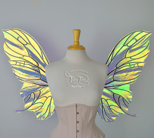 Pansy Iridescent Convertible Fairy Wings in Clear Diamond Fire with Black veins