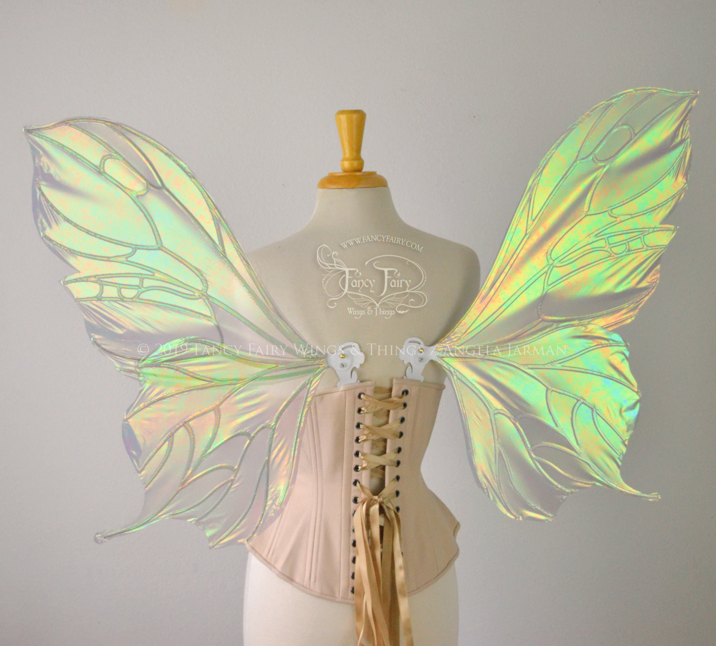 Back view of an ivory dress form wearing an alabaster underbust corset & large iridescent fairy wings with a sort of butterfly shape. The veins are white