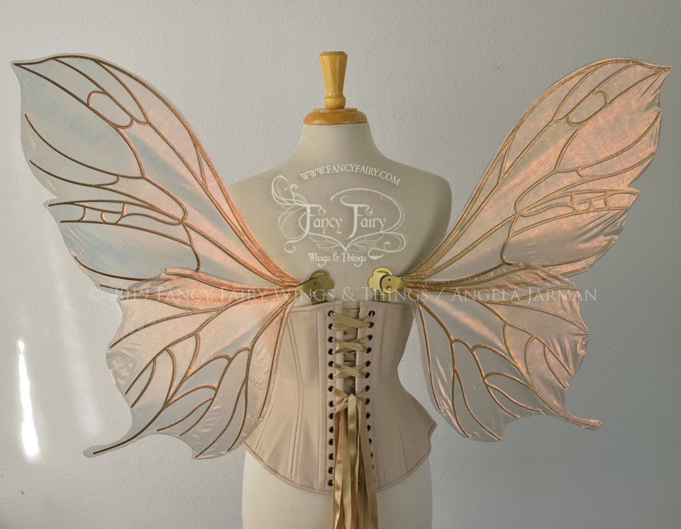 Pansy Iridescent Convertible Fairy Wings in Rose Gold with Candy Gold veins