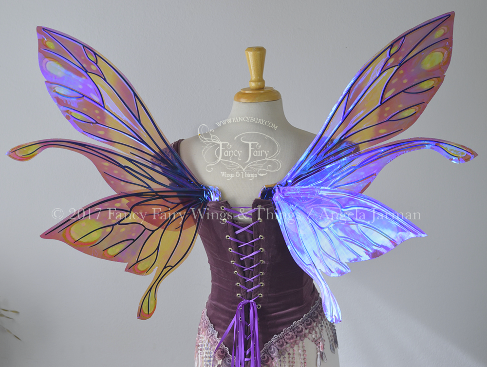 Salome Painted Iridescent Fairy Wings in Purple, Fucshia and Lime with Black Veins