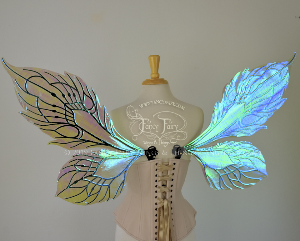 Sintra Iridescent Convertible Fairy Wings in Absinthe with Black veins