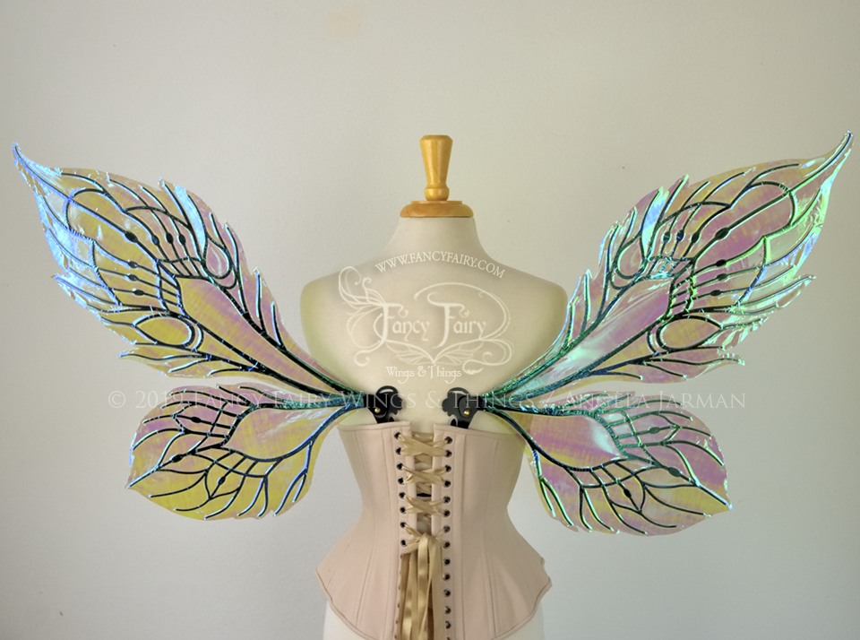 Sintra Iridescent Convertible Fairy Wings in Absinthe with Black veins