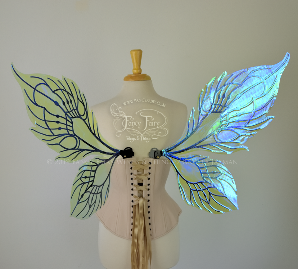 Sintra Iridescent Convertible Fairy Wings in Absinthe with Black veins