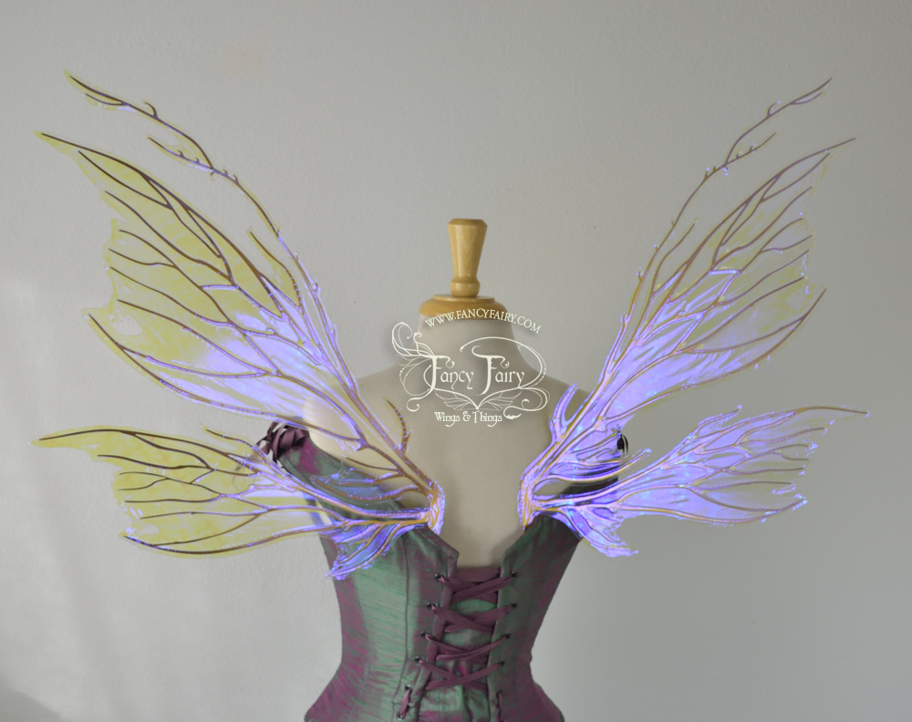 Thistle Iridescent Fairy Wings in Clear Ultraviolet and Gold Veins